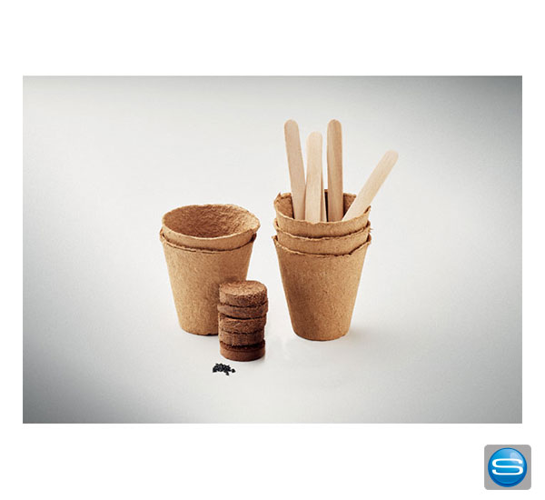 saat-set-sommerblumen-logodruck