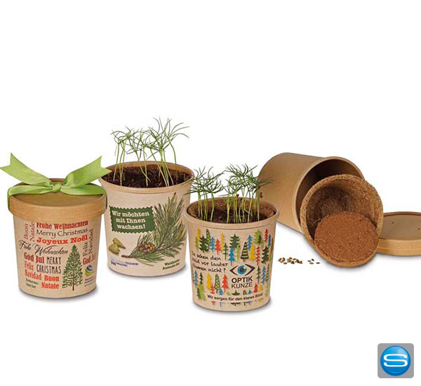 baeume-als-werbegeschenk Baumsaaten im bedruckbaren Becher