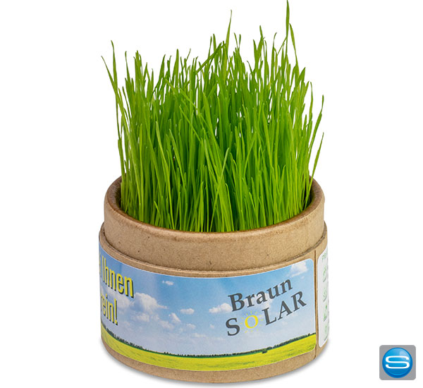 pflanz-cub-als-kundengeschenk