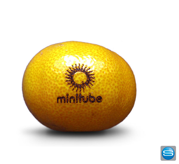 Zitronen, Orangen oder auch Manderinen mit Logo