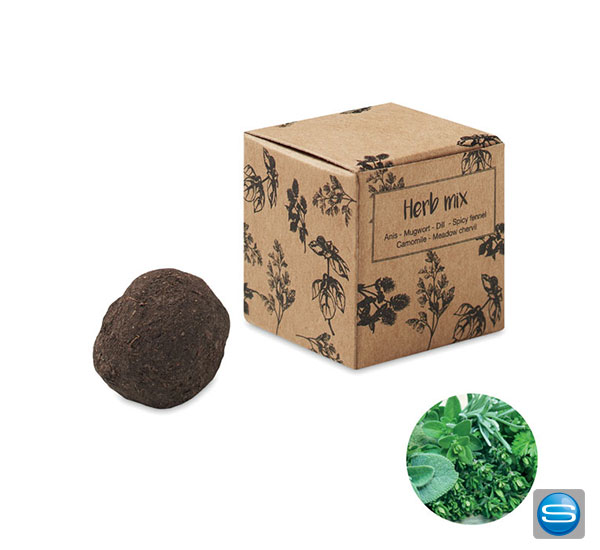 Samen Saatbombe in individueller Box mit Ihrem Motiv Samen Saatbombe in individueller Box mit Ihrem Motiv