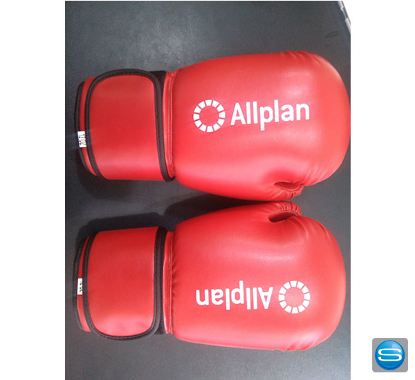 bedruckte-boxhandschuhe Boxhandschuhe nach Ihren Wünschen mit Logo