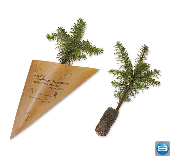 nordmann-tanne-als-werbegeschenk Nordmann-Tanne als Werbegeschenk