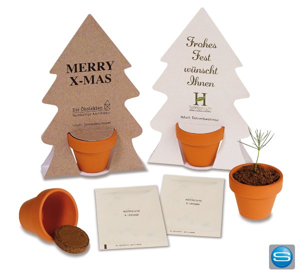 Kleiner Weihnachtsbaum im Töpfchen mit individueller Karte Kleiner Weihnachtsbaum im Töpfchen mit individueller Karte