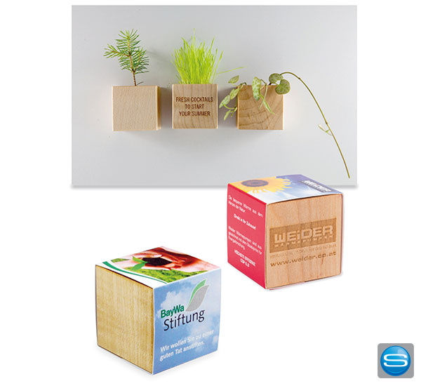 magnet-blumentoepfe-mit-logo Pflanzenwürfel mit Magnet als Werbeartikel