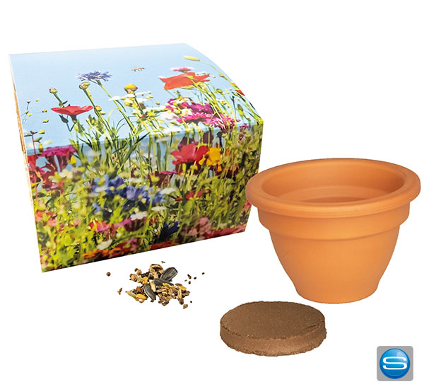 bienenwiese-im-tontopf-als-werbegeschenk Bienenwiese im Tontopf als Werbegeschenk