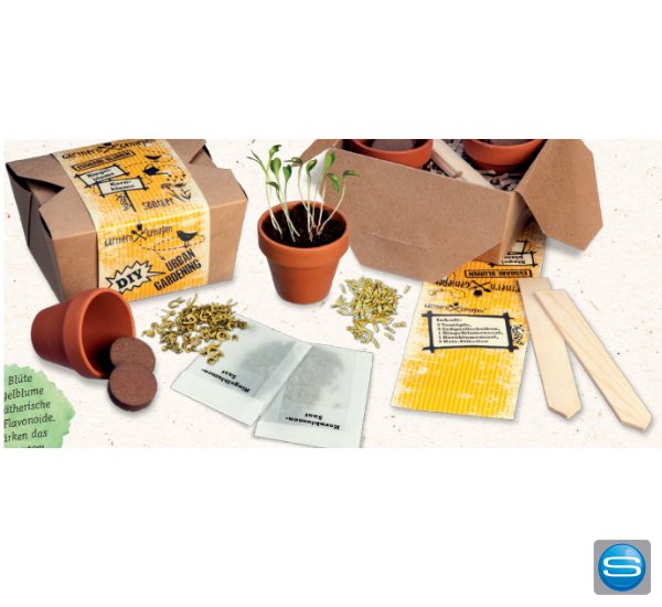 diy-samen-box-als-werbegeschenk