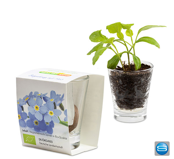 Caffeino-Glas mit Pflanze als Werbegeschenk