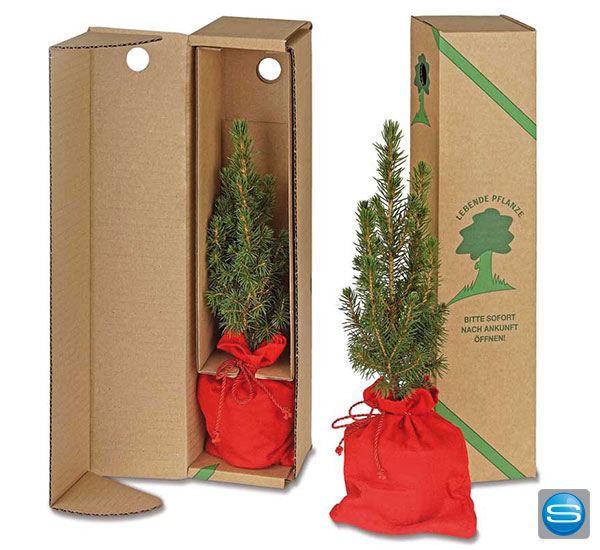 weihnachtsbaum-als-werbegeschenkXz2fdeqSHizg3 Fichtenbäumchen als Weihnachtsgruß
