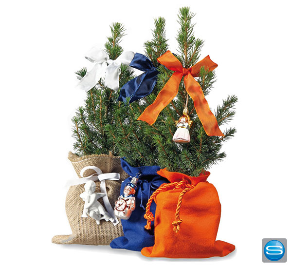 christbaum-individuell Weihnachtsbaum nach Wunsch
