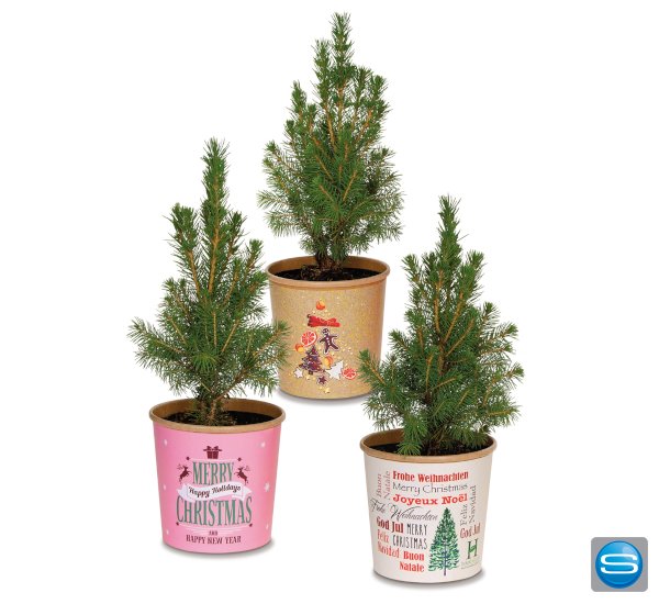 Kleines Weihnachtsbäumchen mit Ihrem Logo