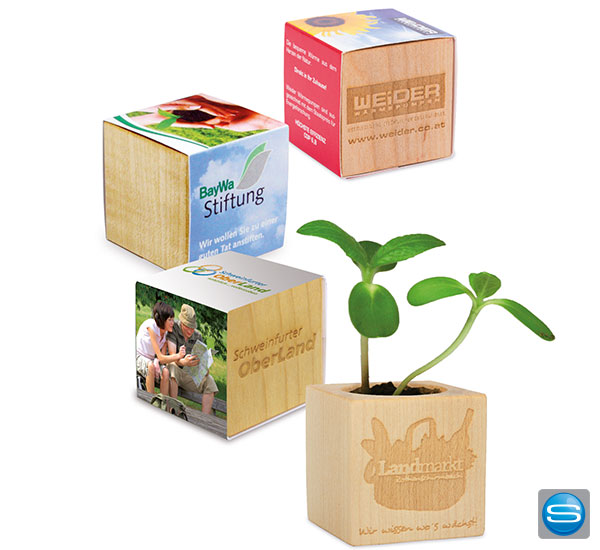 holz-blumentopf-gravieren Holzwürfel mit Pflanzensamen gravieren