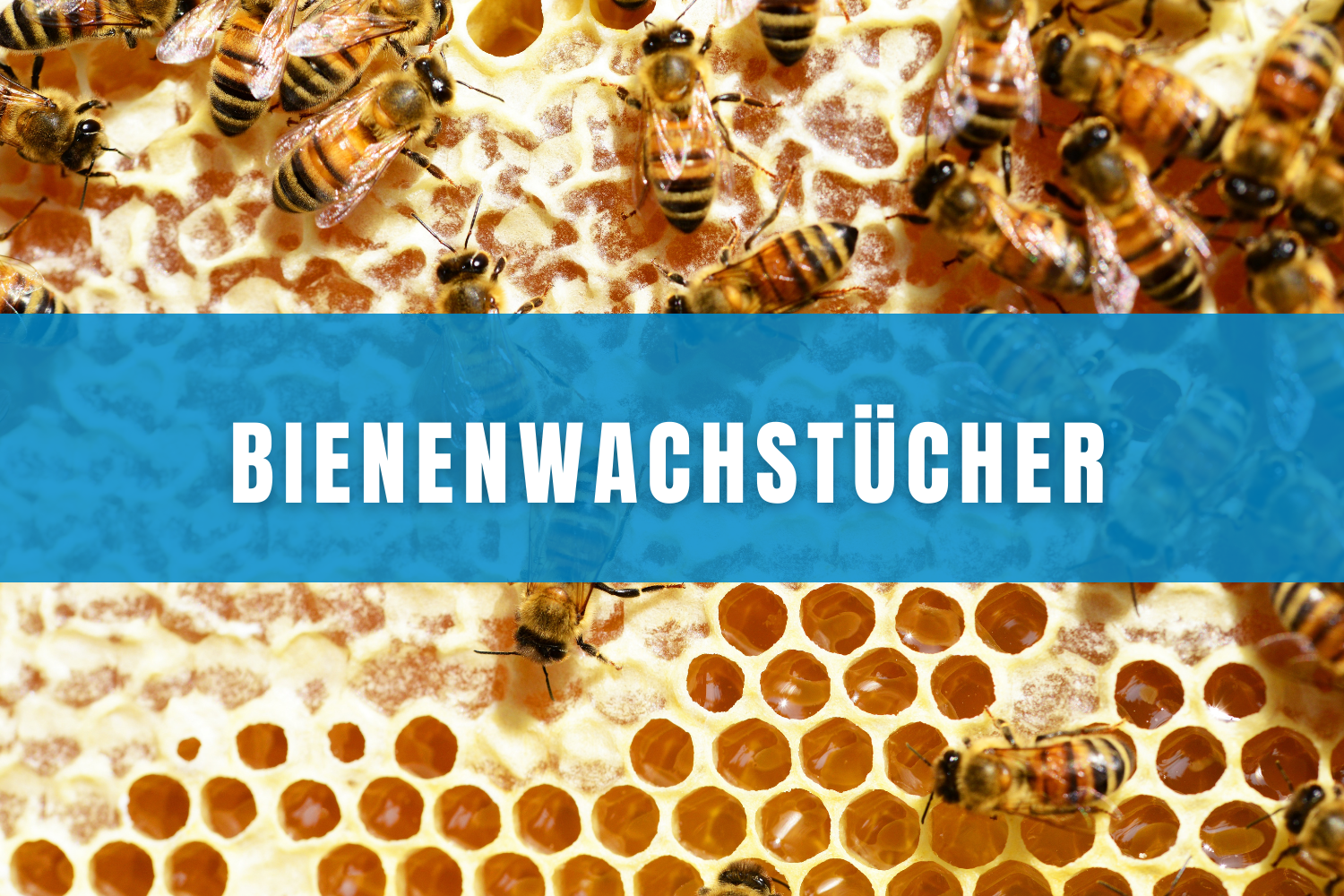 Bienenwachstücher_(2)