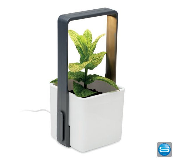 Indoor Pflanztopf als Werbegeschenk mit Ihrem Design